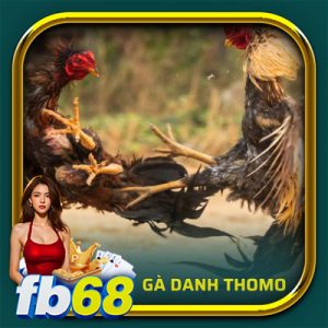 gà danh thomo - ảnh đại diện