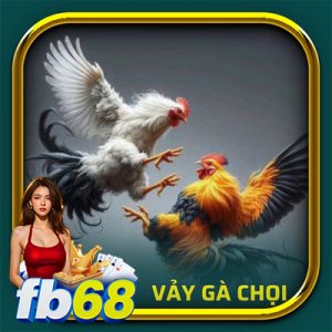 vảy gà chọi - ảnh đại diện