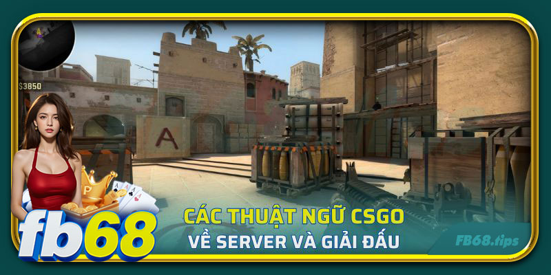 Tổng hợp các thuật ngữ CSGO về server và giải đấu