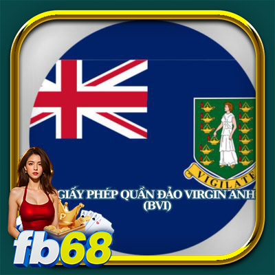 giấy phép quần đảo virgin anh (bvi)
