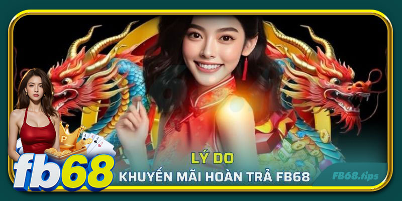 Lý do khuyến mãi hoàn trả tại FB68 hấp dẫn